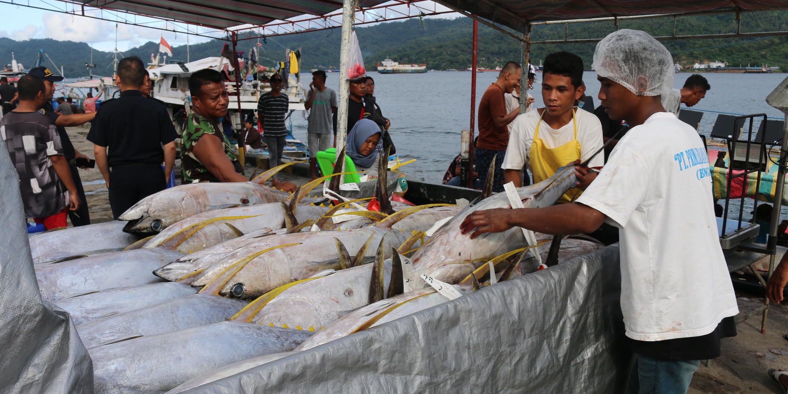 KKP Siap Kembangkan PPS Bitung Jadi Eco Fishing Port untuk Dukung PIT