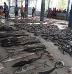 Desa Karangjaladri, Kec. Parigi, Kab. Pangandaran, Prov. Jawa Barat